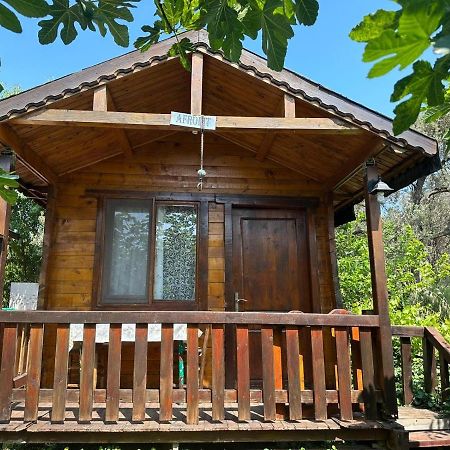 Olimpos Bungalov Apart Aparthotel Balikliova Exterior photo